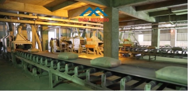 Cement Packing and Dispatch